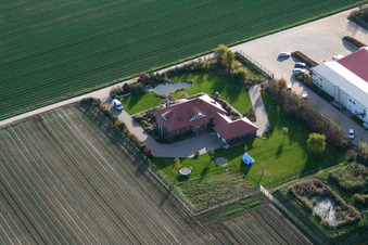 Aerial photograpy of Vegetable cultivation - Dieter Stubenbordt in Zeiskam in the state Rhineland-Palatinate, Germany