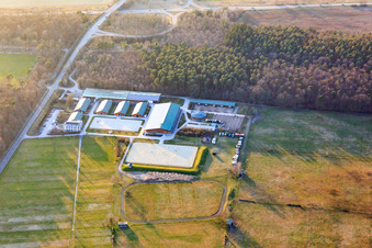 Linkenheim-Hochstetten