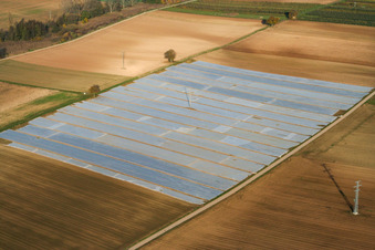 Field under foil in the district Niederlustadt in Lustadt in the state Rhineland-Palatinate, Germany