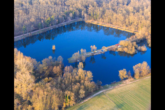 Bear Lake in Ottersheim bei Landau in the state Rhineland-Palatinate, Germany