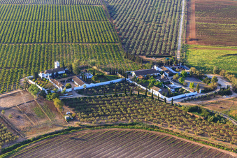 Hacienda de Clarevot between olive tree plantations in Alcalá de Guadaíra in the state Seville, Spain