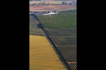 Alcalá/El Acebuchal