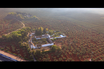 Hacienda nueva del Rosario between olive tree plantations on the A-4 Autovia del Sur in Dos Hermanas in the state Seville, Spain