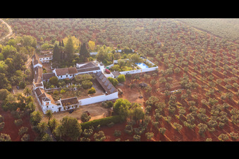 Aerial view of Hacienda nueva del Rosario between olive tree plantations on the A-4 Autovia del Sur in Dos Hermanas in the state Seville, Spain
