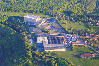 Winery Louis Eschenauer and les Grands Chais de in Petersbach in the state Bas-Rhin, France