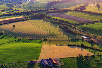 Aerial view of Mowed meadows with hay bales at a farm in Rexingen in the state Bas-Rhin, France