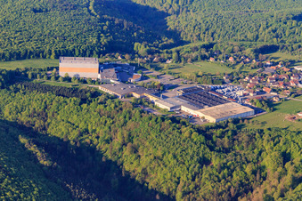 Oblique view of Winery Louis Eschenauer and les Grands Chais de in Petersbach in the state Bas-Rhin, France