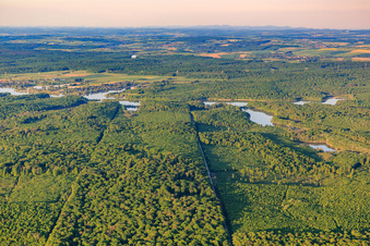 Forest in front of Lake Mittersheim from the west in Mittersheim in the state Moselle, France