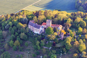 Castle and castle park Gamburg in the district Gamburg in Werbach in the state Baden-Wuerttemberg, Germany