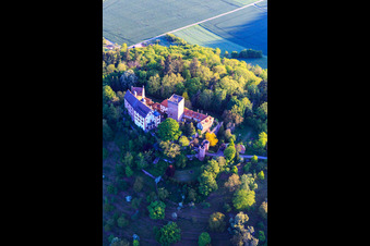 Aerial view of Castle and castle park Gamburg in the district Gamburg in Werbach in the state Baden-Wuerttemberg, Germany