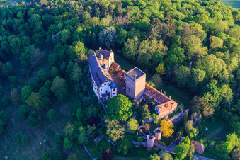 Aerial photograpy of Castle and castle park Gamburg in the district Gamburg in Werbach in the state Baden-Wuerttemberg, Germany