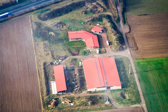 Chicken farm egg farm in Erlenbach bei Kandel in the state Rhineland-Palatinate, Germany from the plane