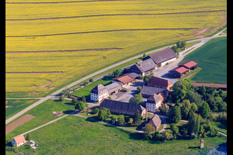 Sheep farm in the district Bronnbach in Wertheim in the state Baden-Wuerttemberg, Germany