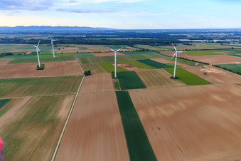 Wind farm Minfeld in Minfeld in the state Rhineland-Palatinate, Germany out of the air