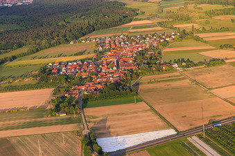 Village view from the northwest in Erlenbach bei Kandel in the state Rhineland-Palatinate, Germany