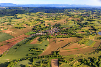 Aerial view of Village view from the north in the district Wallburg in Ettenheim in the state Baden-Wuerttemberg, Germany
