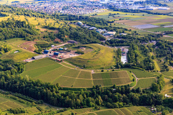 Landfill of the Kahlenberg Waste Treatment Association surrounded by vineyards in Ringsheim in the state Baden-Wuerttemberg, Germany