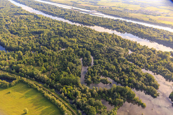 Old Rhine arms in the Taubergiessen nature reserve between the Rhine meadows and the Rhine in the district Rheinau in Ortenaukreis in the state Baden-Wuerttemberg, Germany