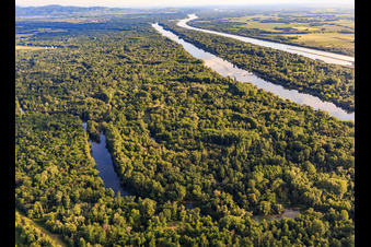 Aerial photograpy of Taubergiessen nature reserve between the Rhine meadows and the Rhine in the district Rheinau in Ortenaukreis in the state Baden-Wuerttemberg, Germany