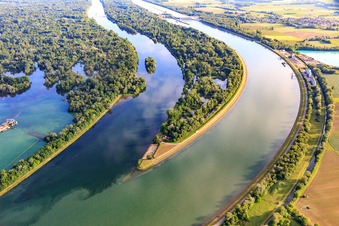 Top of the Rhine Island nature reserve - Réserve Naturelle de l'Île de Rhinau in Rhinau in the state Bas-Rhin, France