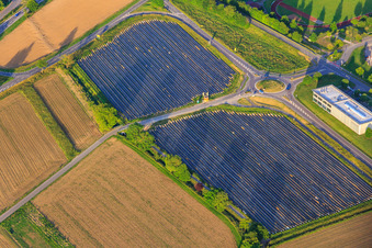 Field and stall of asparagus and strawberries Fritz Wassmer in Malterdingen in the state Baden-Wuerttemberg, Germany