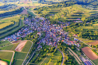Wine village view from the south in the district Bombach in Kenzingen in the state Baden-Wuerttemberg, Germany