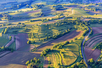 Vineyards, fields and meadows in the district Ettenheimweiler in Ettenheim in the state Baden-Wuerttemberg, Germany