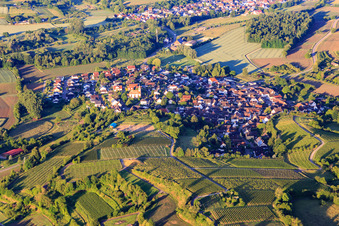 View of the winegrowing village from the north in the district Tutschfelden in Herbolzheim in the state Baden-Wuerttemberg, Germany