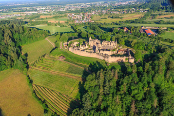 Fortress ruins Hochburg near Emmendingen from the east in the district Windenreute in Emmendingen in the state Baden-Wuerttemberg, Germany