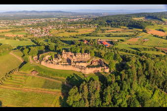 Aerial view of Fortress ruins Hochburg near Emmendingen from the east in the district Windenreute in Emmendingen in the state Baden-Wuerttemberg, Germany