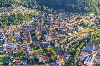 View of the town from the south in the district Kollnau in Waldkirch in the state Baden-Wuerttemberg, Germany