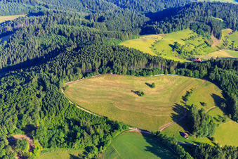 Mown meadow in the Northern Black Forest in Mühlenbach in the state Baden-Wuerttemberg, Germany