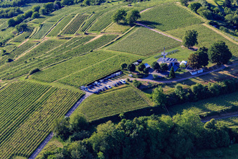 Heubergturm panorama restaurant / to the Heuberg on the vineyard in Ettenheim in the state Baden-Wuerttemberg, Germany