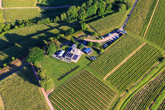 Aerial photograpy of Heubergturm panorama restaurant / to the Heuberg on the vineyard in Ettenheim in the state Baden-Wuerttemberg, Germany
