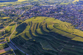 Aerial view of Terraced vineyards in the southern Kaiserstuhl in the district Wasenweiler in Ihringen in the state Baden-Wuerttemberg, Germany