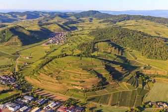 Aerial view of Vineyards on the Kaiserstuhl from the west in the district Achkarren in Vogtsburg im Kaiserstuhl in the state Baden-Wuerttemberg, Germany
