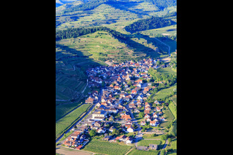 Aerial view of Wine-growing village in the Kaiserstuhl from the southwest in the district Achkarren in Vogtsburg im Kaiserstuhl in the state Baden-Wuerttemberg, Germany