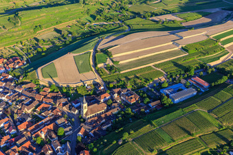 Oblique view of Construction site for the re-leveling of terraced vineyards in the district Oberrotweil in Vogtsburg im Kaiserstuhl in the state Baden-Wuerttemberg, Germany