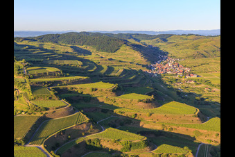 Terraced vineyards in the Kaiserstuhl from the west in the district Oberrotweil in Vogtsburg im Kaiserstuhl in the state Baden-Wuerttemberg, Germany
