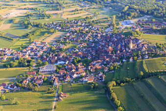 Village overview from the north in the district Burkheim in Vogtsburg im Kaiserstuhl in the state Baden-Wuerttemberg, Germany