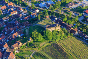 Ruins of the castle Burkheim above the vineyard in the district Burkheim in Vogtsburg im Kaiserstuhl in the state Baden-Wuerttemberg, Germany