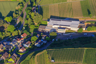 Jechtinger Weinmanufaktur eG in the district Jechtingen in Sasbach am Kaiserstuhl in the state Baden-Wuerttemberg, Germany