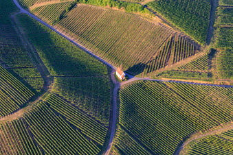 Eichert Chapel in the middle of the vineyards in the district Jechtingen in Sasbach am Kaiserstuhl in the state Baden-Wuerttemberg, Germany