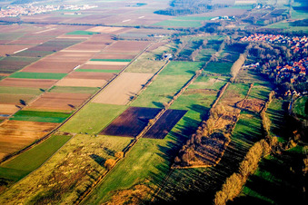 Aerial photograpy of Billigheimer Bruch nature reserve in the district Mühlhofen in Billigheim-Ingenheim in the state Rhineland-Palatinate, Germany