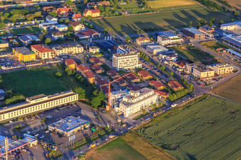 Hotel Babylon Royal & Spa and Hotel Holiday Inn Express Ringsheim in Ringsheim in the state Baden-Wuerttemberg, Germany