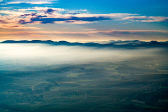Palatinate Forest in the November haze in Bad Bergzabern in the state Rhineland-Palatinate, Germany