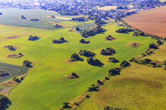 Ice Age kameshügel form uncultivable gaps in the fields in Mansfeld in the state Saxony-Anhalt, Germany