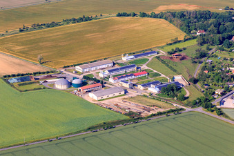 Chicken farm Quenstedt and biogas plant Quenstedt - BALANCE Renewable Energies GmbH in the district Quenstedt in Arnstein in the state Saxony-Anhalt, Germany