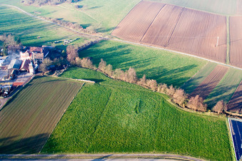 Schaidter Mill in the district Schaidt in Wörth am Rhein in the state Rhineland-Palatinate, Germany viewn from the air