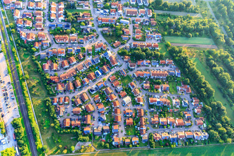 Cherry Trail, Mirabelle Trail in Bellheim in the state Rhineland-Palatinate, Germany